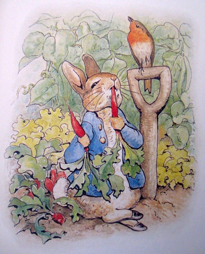 Harvest in Bunny´s Cottage (All red berries collection)